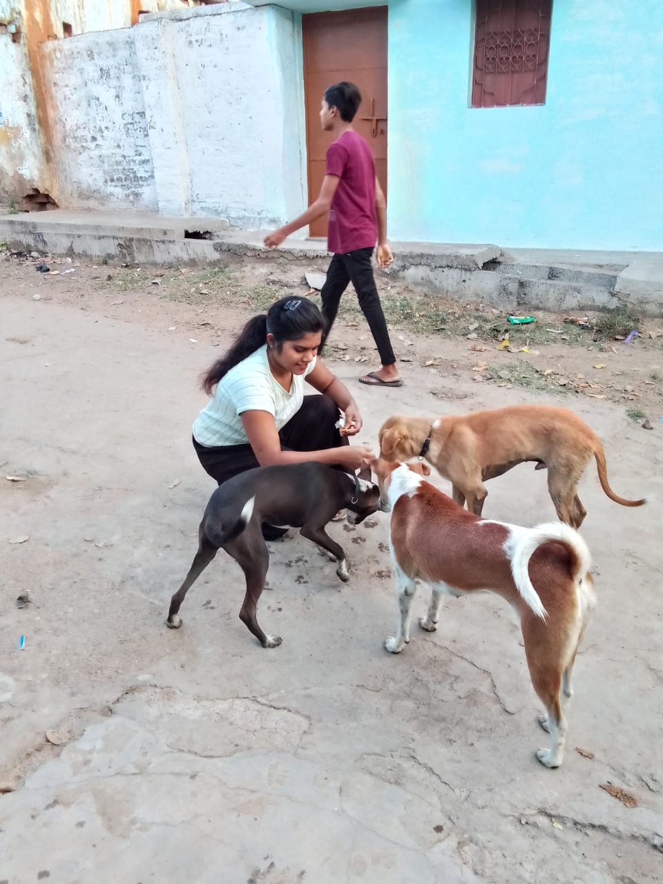 About Pawshala Foundation