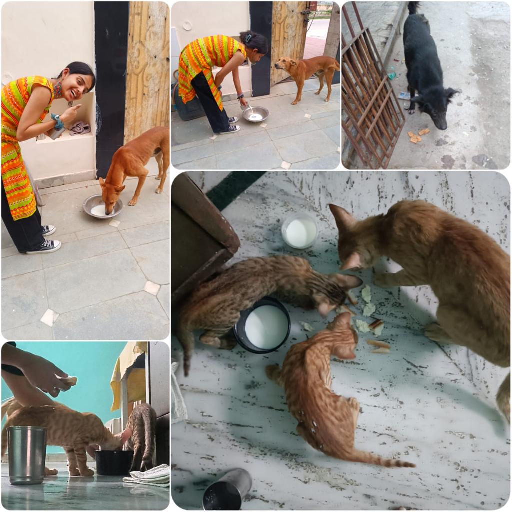 Feeding program